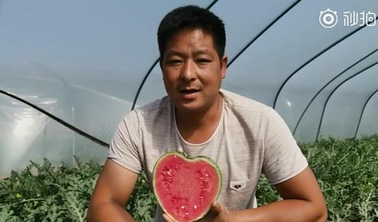 瓜友吃瓜最新视频,揭秘娱乐圈幕后真相