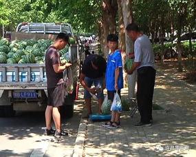 郯城县吃瓜群众事件视频,一场网络舆论的风暴与反思