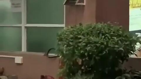 鄢陵吃瓜新闻事件视频,一场引发热议的网络视频风波