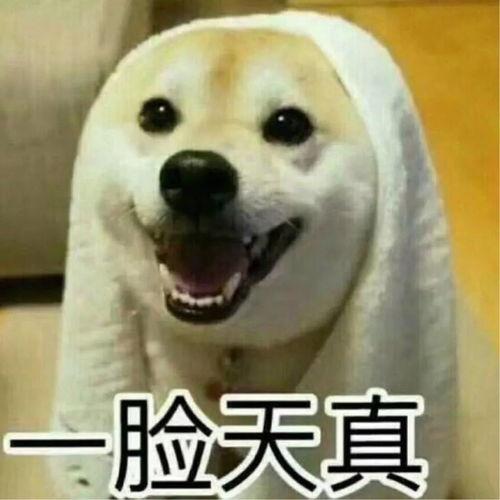 吃瓜视频情侣头像,揭秘吃瓜视频情侣头像背后的浪漫故事