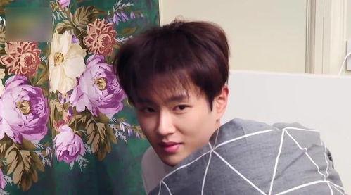 青春范丞丞吃瓜视频,揭秘明星背后的真实生活