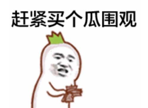 通山吃瓜群众其他视频,趣味横生的日常生活记录