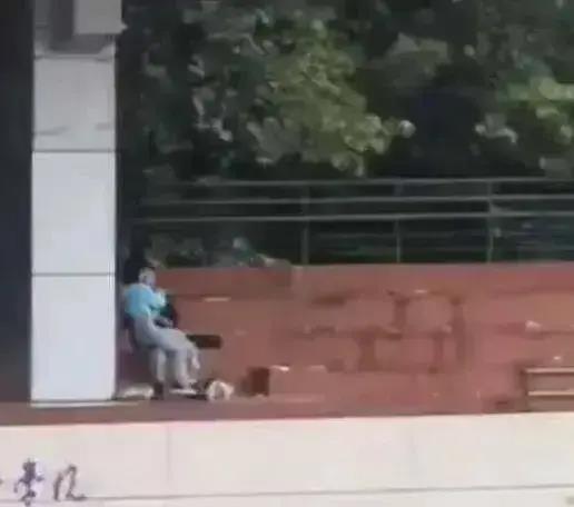 河北学院吃瓜视频,揭秘校园生活趣味瞬间