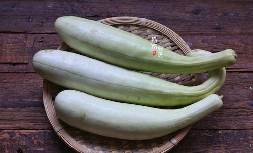 皮条瓜怎么吃最好吃呢视频,视频教你最佳食用方法