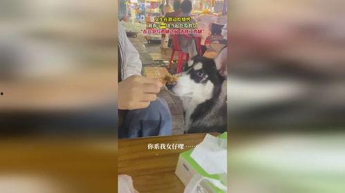 吃瓜群众吃鸡腿视频在线观看