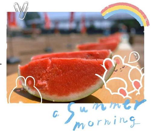 官方大型吃瓜现场视频,揭秘幕后真相，带你直击现场盛况